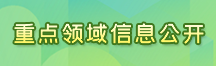 重点领域