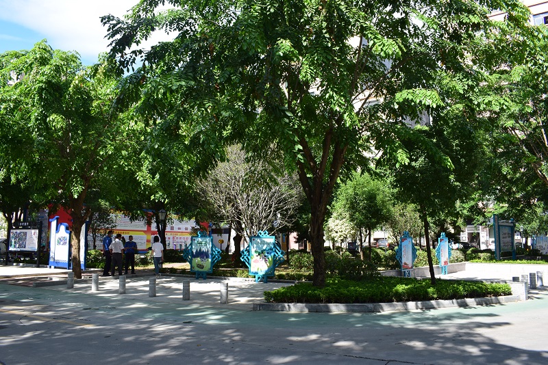 竹山社区水塘区公园.JPG